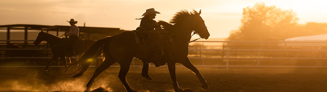 A cowboy rides a horse at sunset in a Rodeo Arena