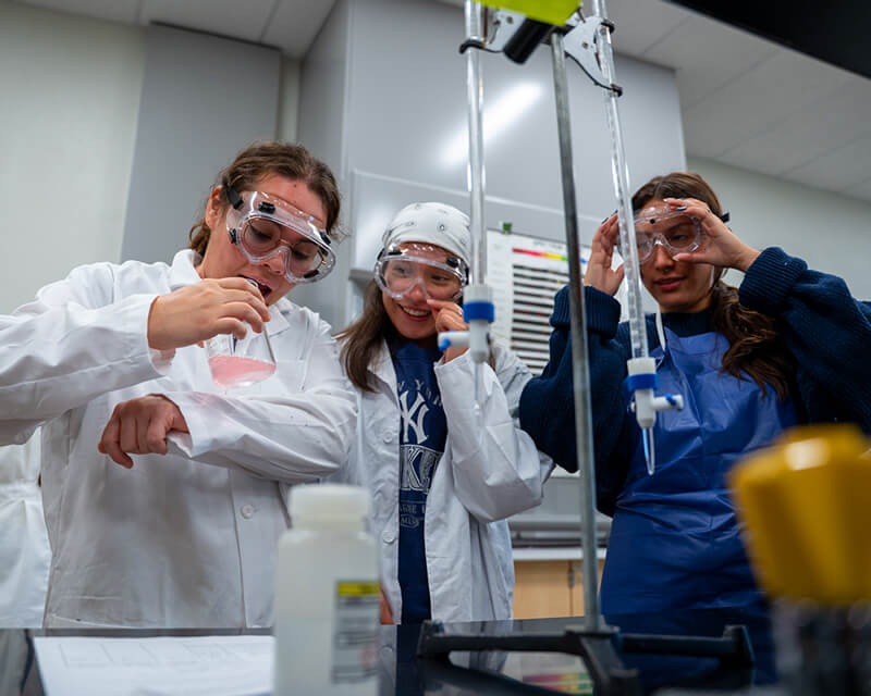 Students working in a lab.