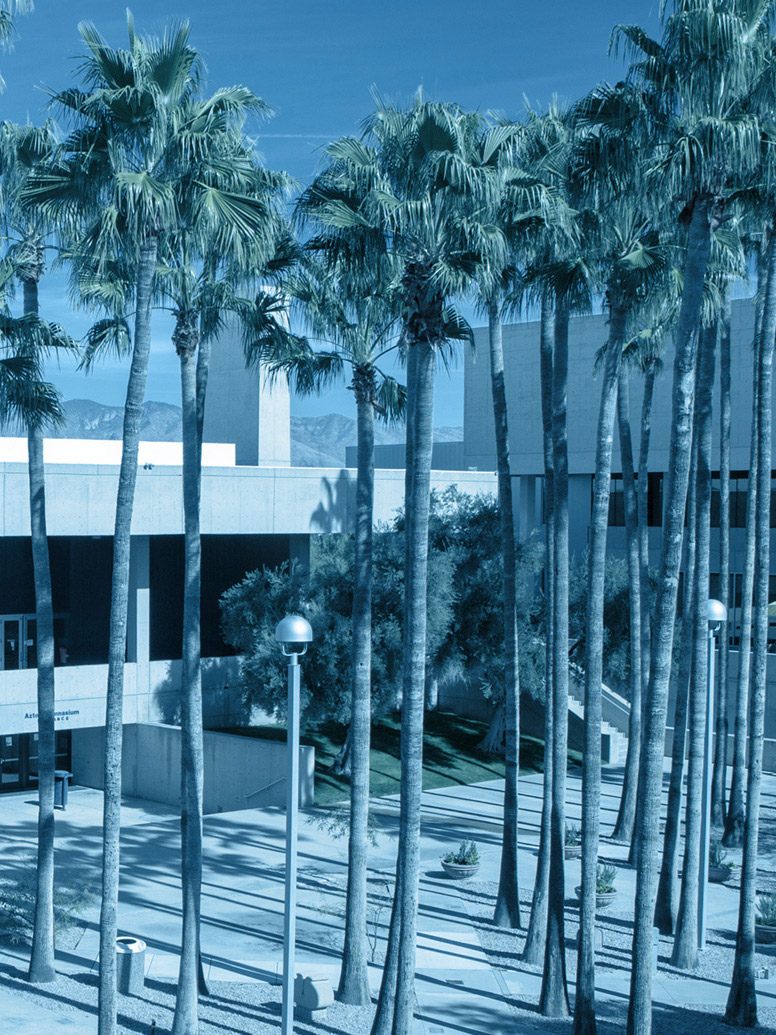 West Campus courtyard with palm trees