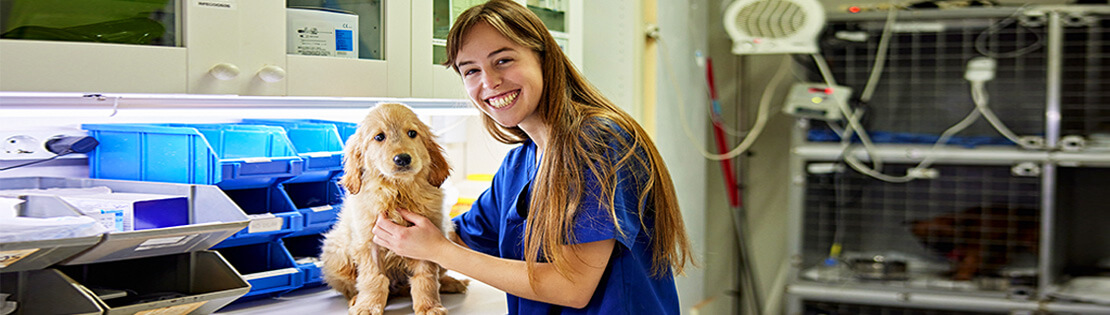 A veterinarian student smiles while treating a dog