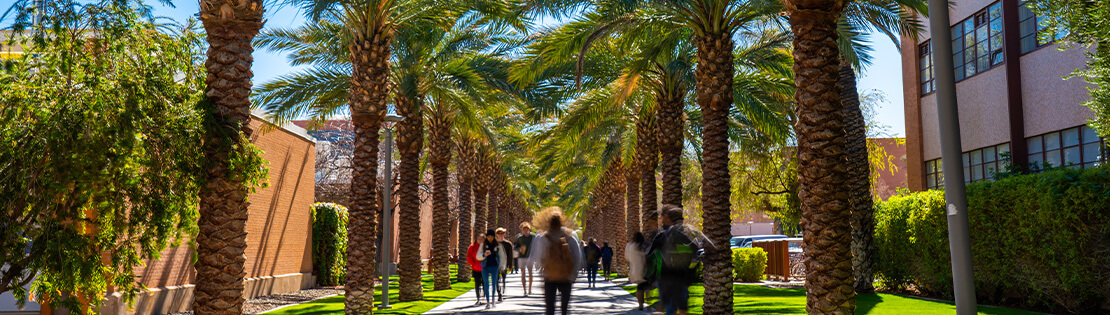 A breezeway with Palm trees at an ASU campus location